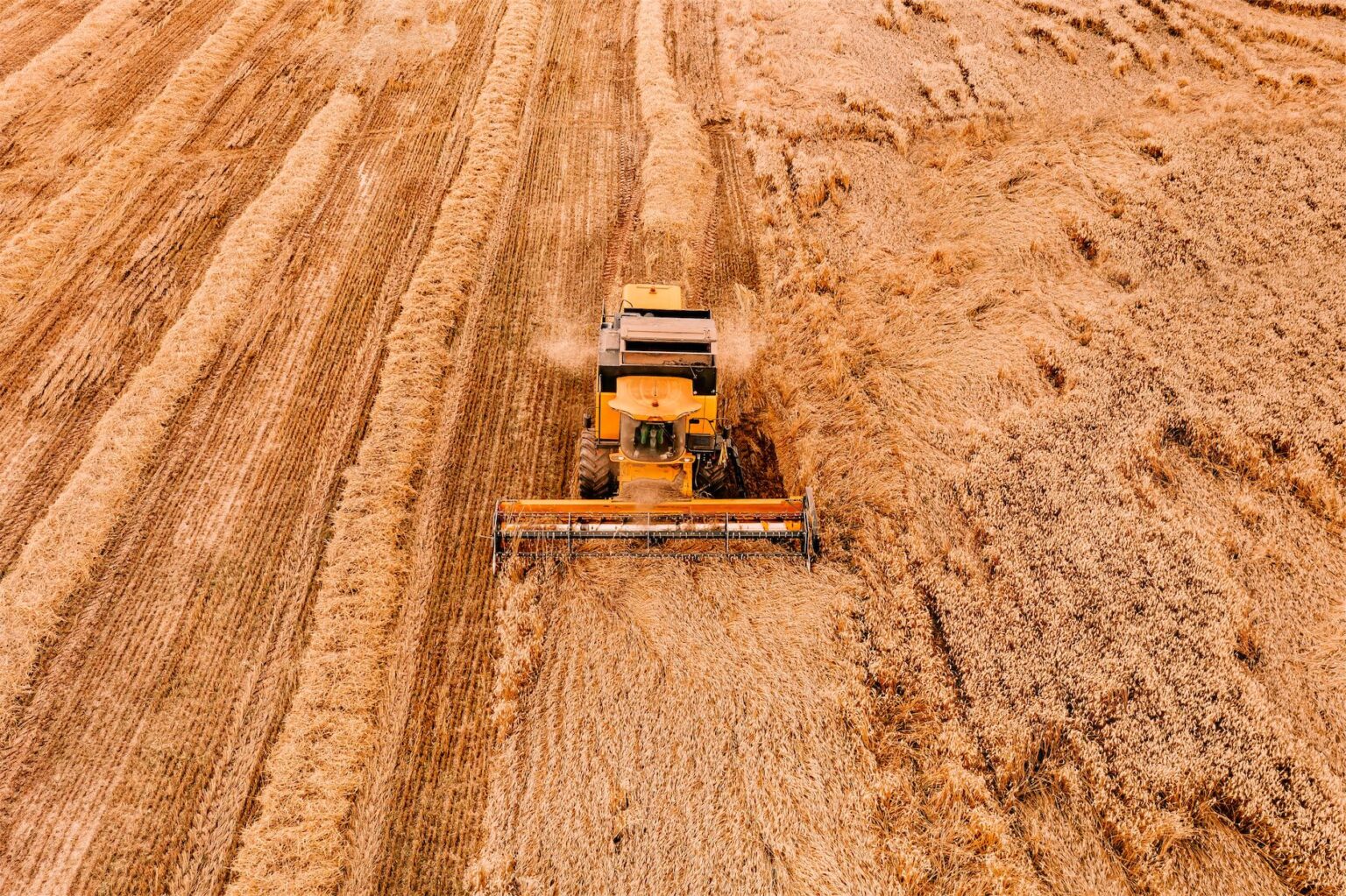 aerial-view-of-the-combine-harvester-agriculture-m-2022-02-08-22-39-24-utc