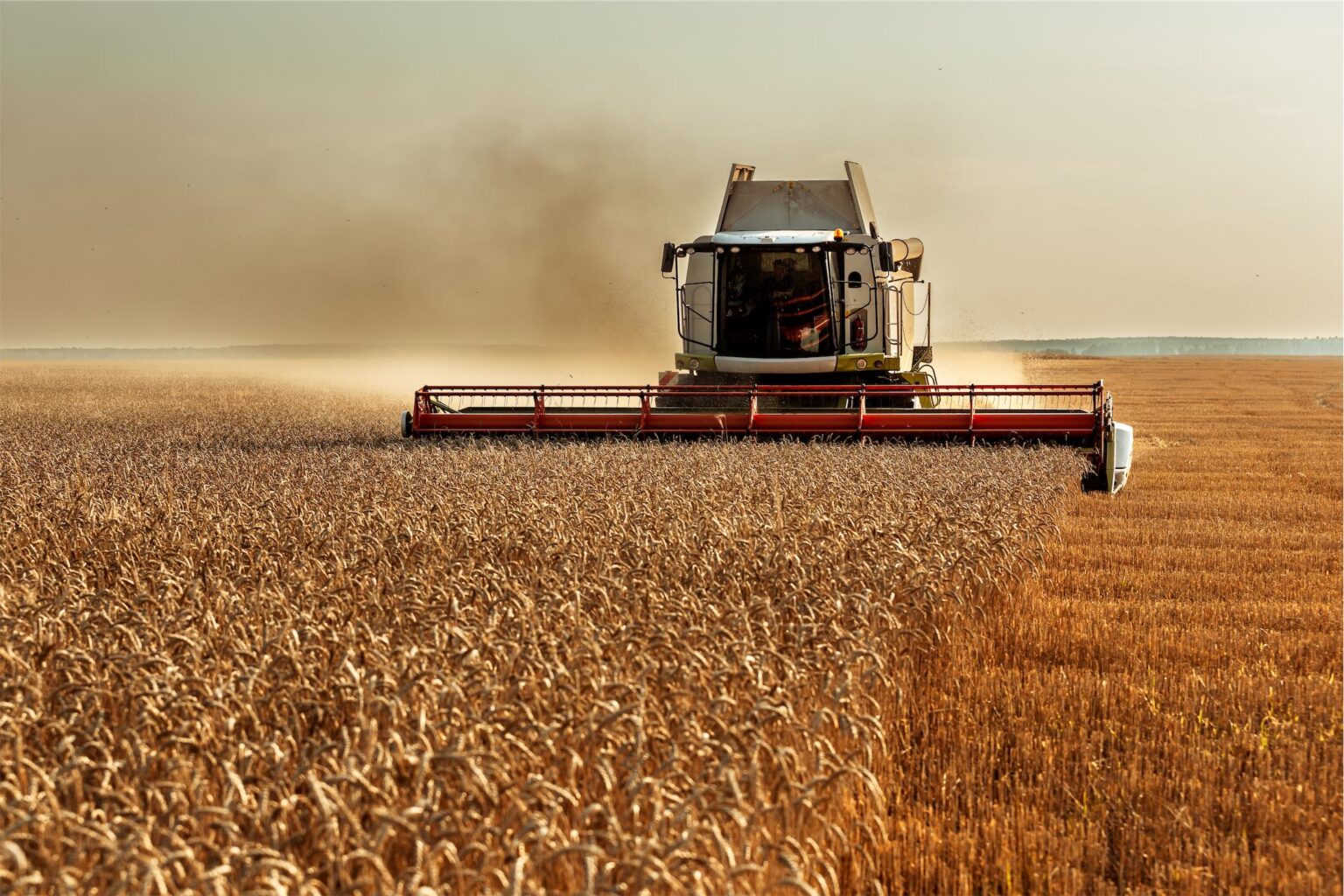 harvesting-wheat-with-a-combine-in-the-field-2022-11-07-21-17-57-utc
